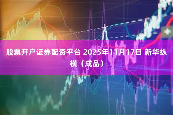 股票开户证券配资平台 2025年11月17日 新华纵横（成品）
